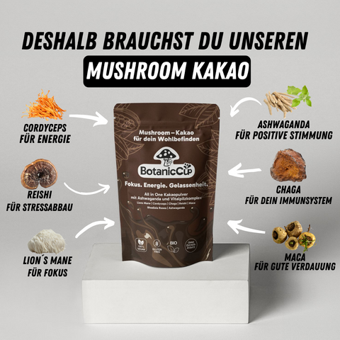 3er Pack BotanicCup | Mushroom Kakao - BotanicCup